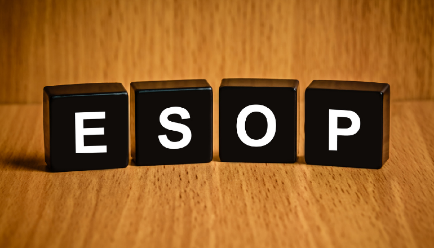 All ABOUT OF EMPLOYEE STOCK OPTION PLAN (ESOP) SCHEME