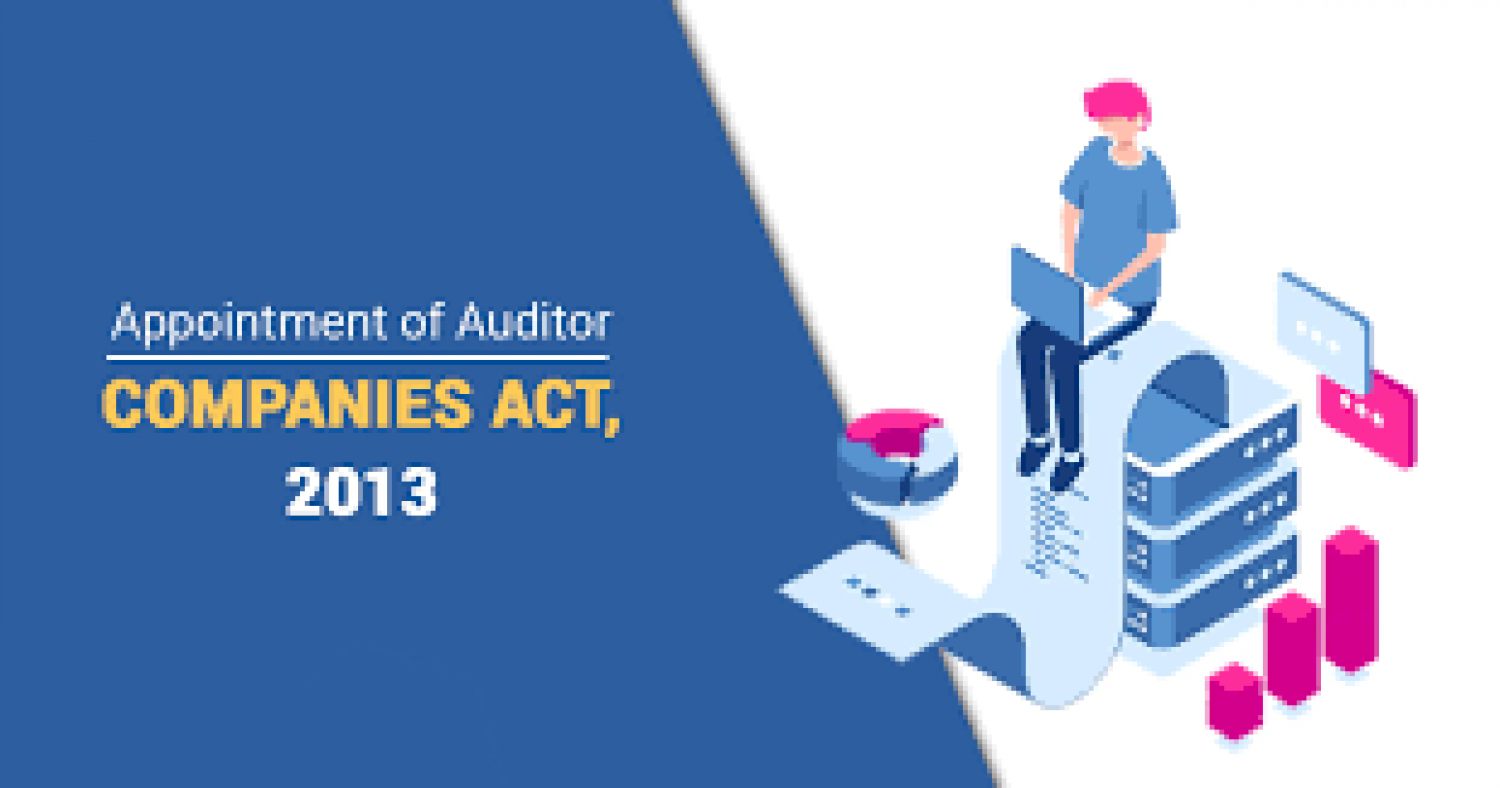 Auditor Appointment for Newly incorporated Private Limited Company 