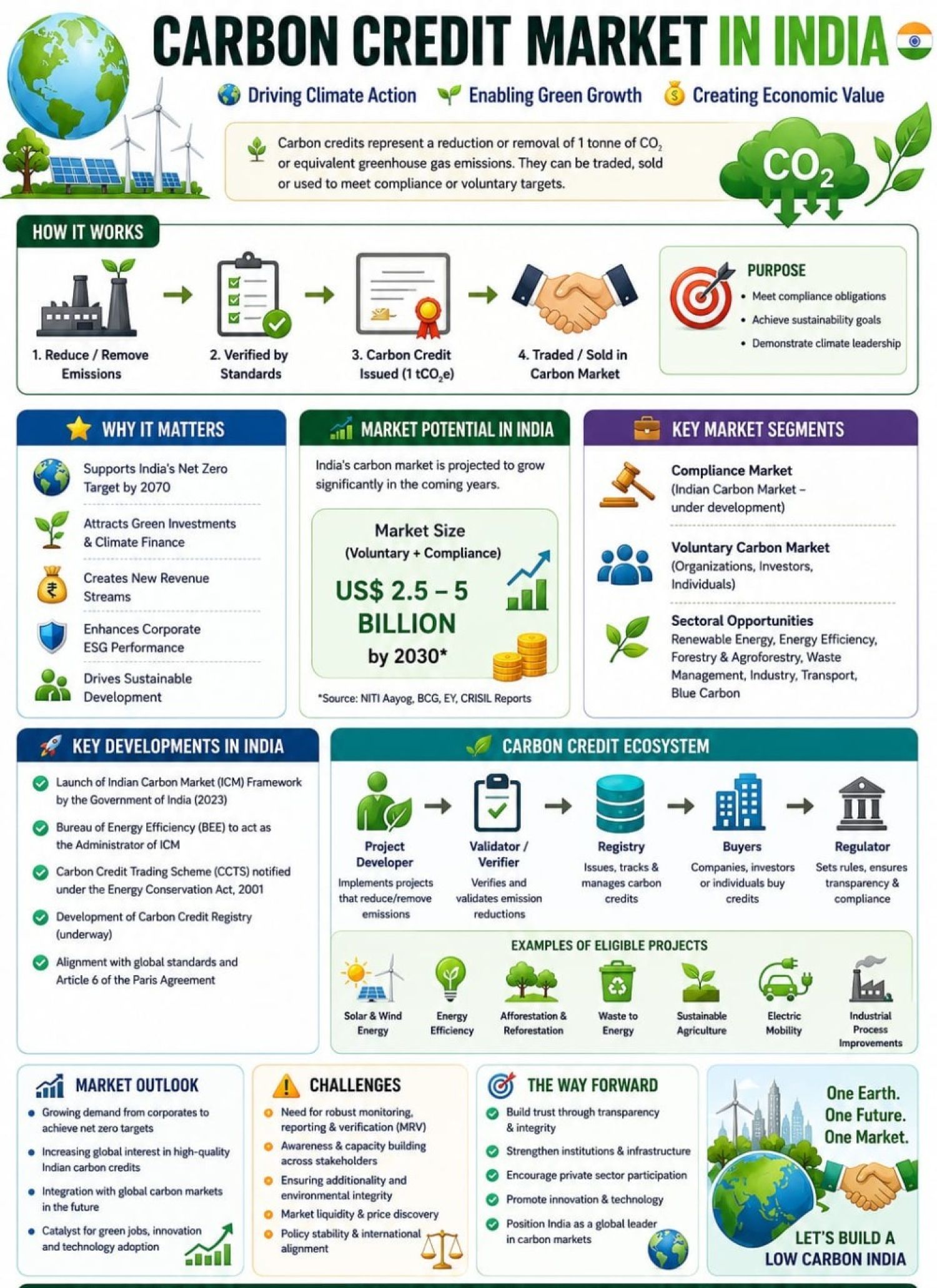 Carbon Credits –Dedicated Sub-Checklist (Tax Audit Perspective)