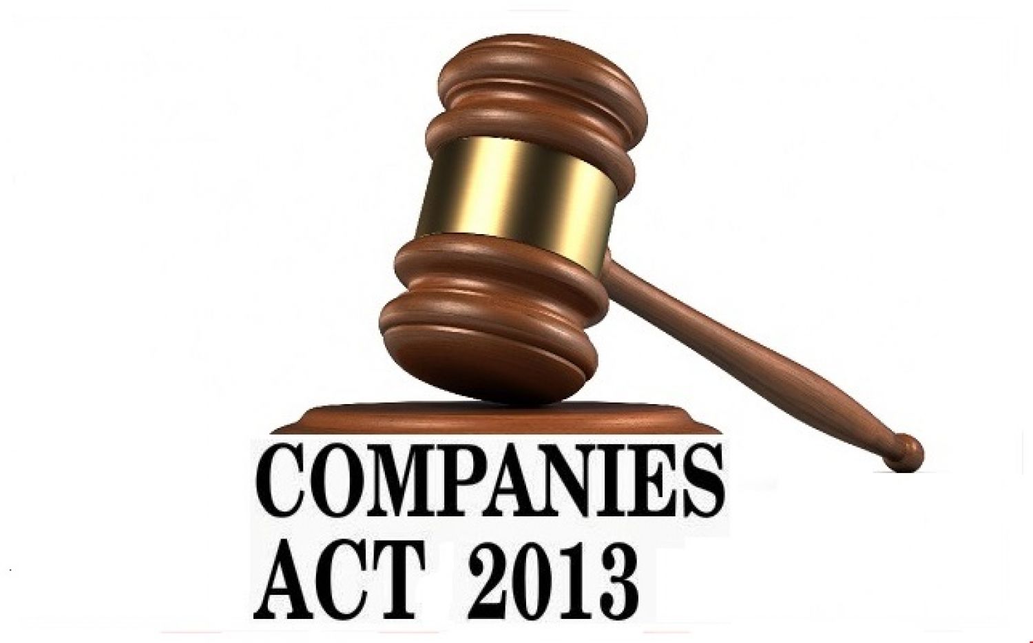 Compliance needs  for the month of aug 2021 under Co Act 2013 