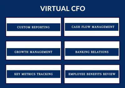 How much do I pay for Virtual CFO services in Delhi & NCR?