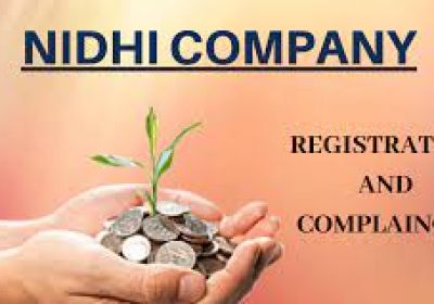 How was the Nidhi Company established in India?