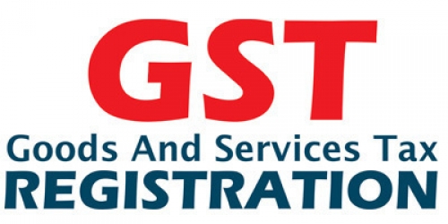 OVERVIEW OF GOODS AND SERVICES  REGISTRATION