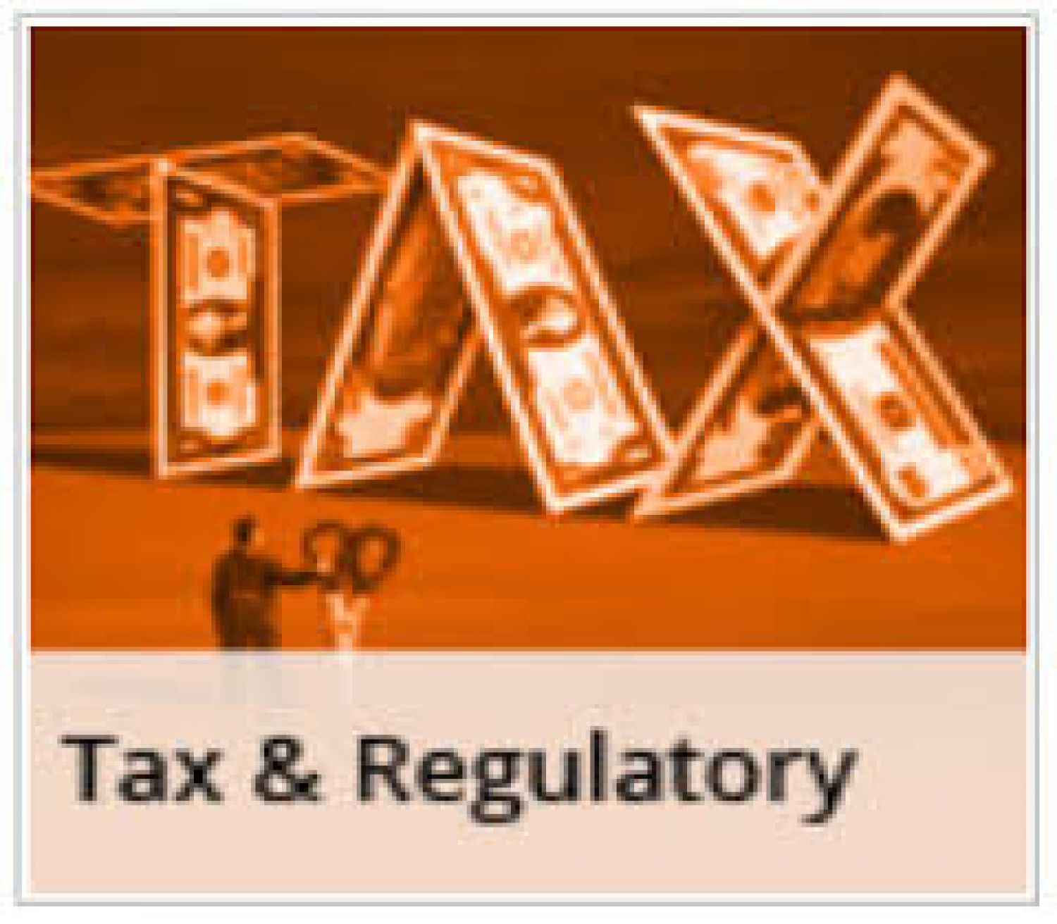 Tax and Regulatory Services and their Compliance in India