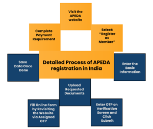 Process for APEDA Registration