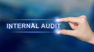 Importance of Internal Audit in India