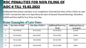 roc annual filing after 15 Feb 2022