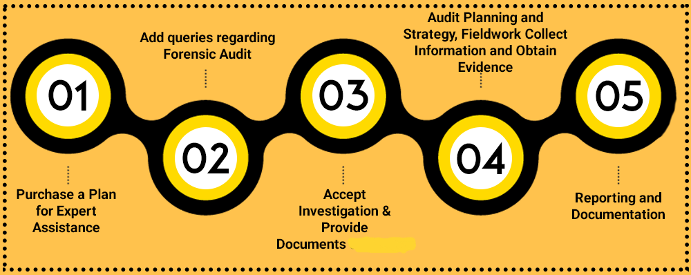 Forensic-Audit in India.