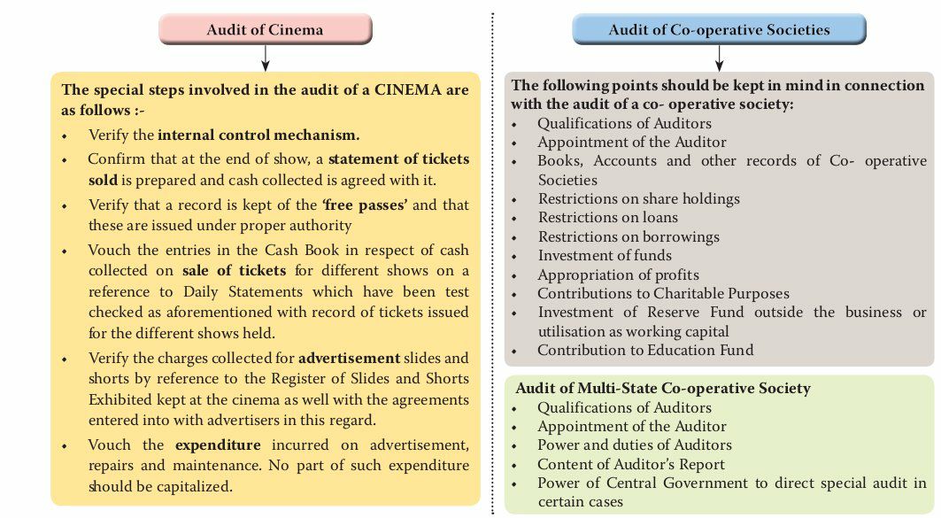 AUDIT OF DIFFERENT TYPES OF ENTITIES 2