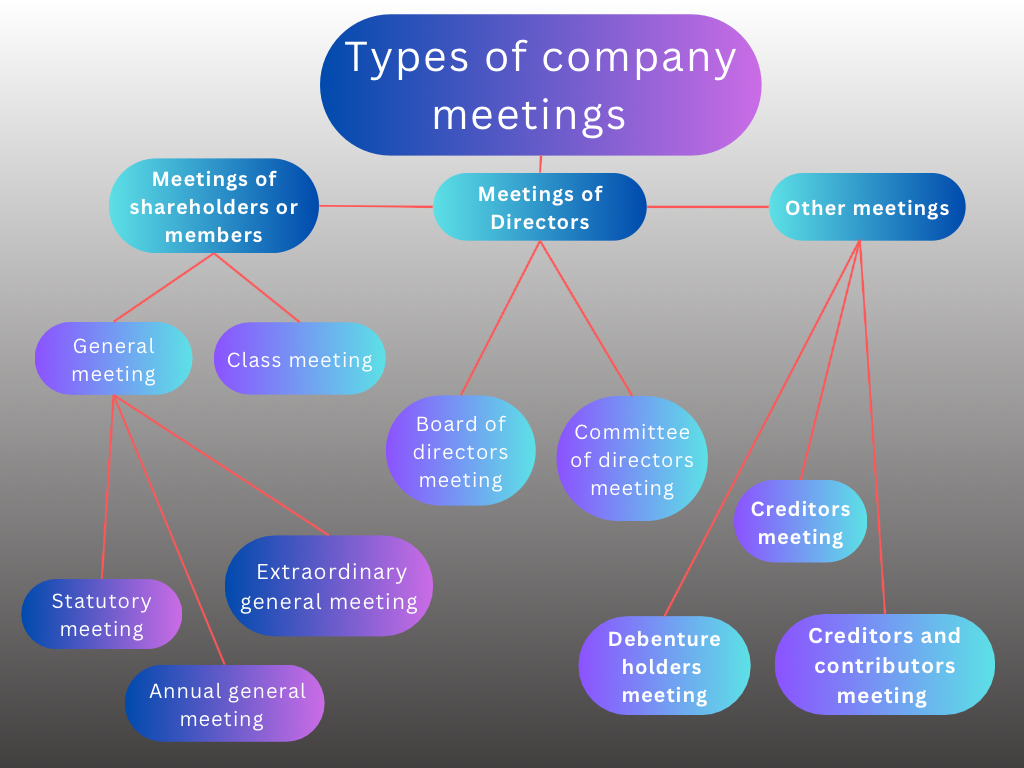 Meetings requirements as per Company Law