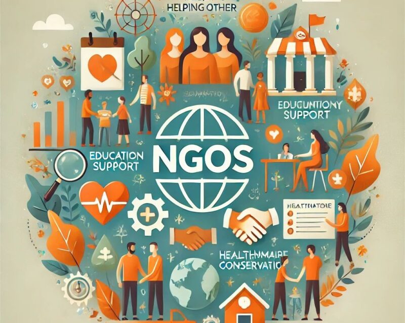 Union Budget 2025-26: Major Impacted on NGO Section
