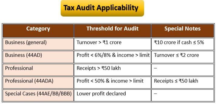 Tax audit